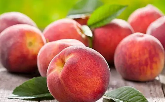 孕婦夢(mèng)見(jiàn)摘到桃子吃什么意思 孕婦夢(mèng)見(jiàn)摘到桃子吃生男生女 孕婦夢(mèng)見(jiàn)摘到桃子吃什么意思 孕婦夢(mèng)見(jiàn)摘到桃子吃生男生女