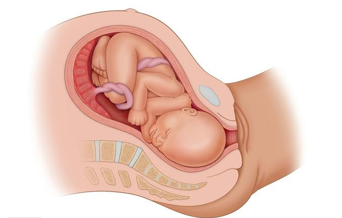 孕期什么時候檢查胎位 孕婦怎么看胎位正不正 孕期什么時候檢查胎位 孕婦怎么看胎位正不正