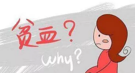 孕婦缺鐵的危害竟然有這么大 為什么孕婦更容易貧血