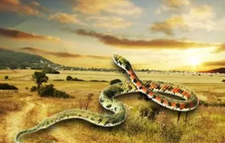 孕婦夢(mèng)見青蛇什么意思 孕婦夢(mèng)見青蛇生男生女