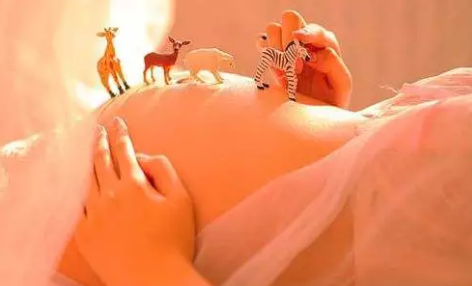 孕婦夢見被蛇追什么意思 孕婦夢見被蛇追生男生女