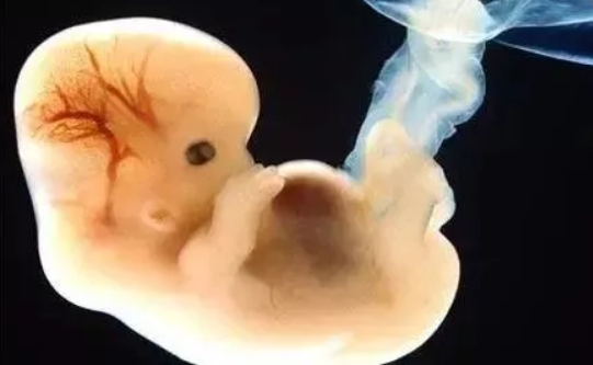 寶寶胎內記憶什么時候開始 如何產生美好的胎內記憶