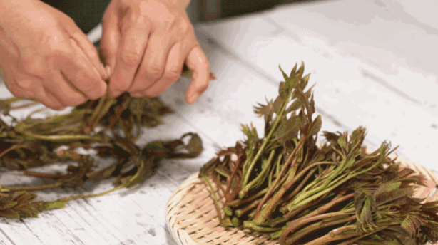 孕婦能吃香椿芽嗎 孕婦怎么吃香椿芽好