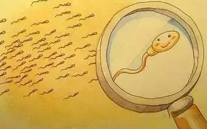 精液像果凍一樣的男性要注意了 精液異常有哪些表現(xiàn) 精液像果凍一樣的男性要注意了 精液異常有哪些表現(xiàn)