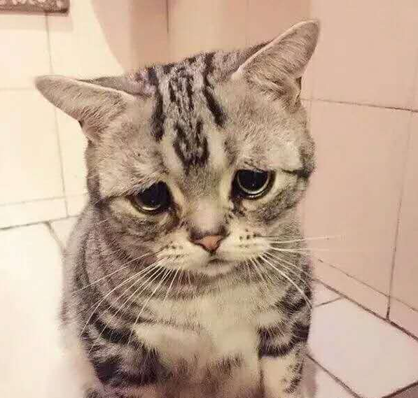 被蚊子咬的幽默句子怎么發(fā) 被蚊子咬的朋友圈說說 被蚊子咬的幽默句子怎么發(fā) 被蚊子咬的朋友圈說說