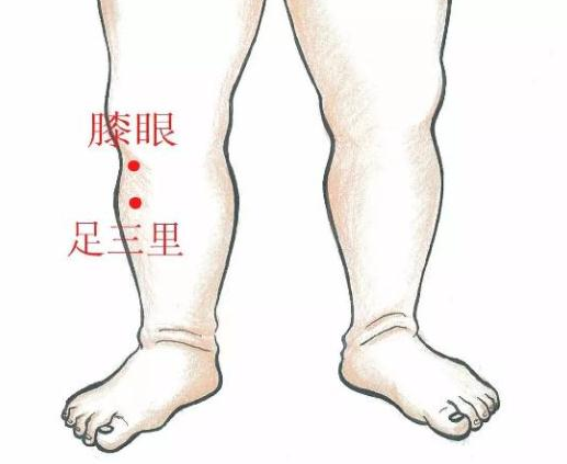 春季孩子長高捏哪里好 小兒推拿長高方法