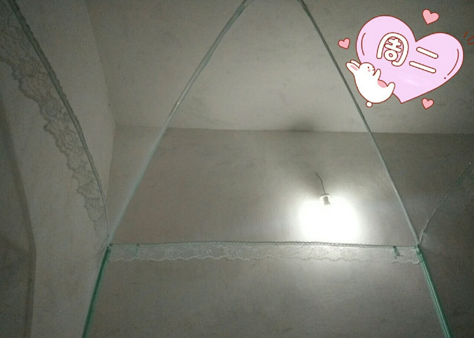 發朋友圈形容蚊子咬了 給蚊子咬了的說說圖片