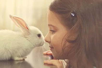 需要爸爸來教孩子的事情有哪些 爸爸要教孩子哪些事