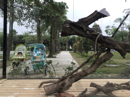 寶寶剛學會走路的心情 紀念寶寶會走路的句子說說