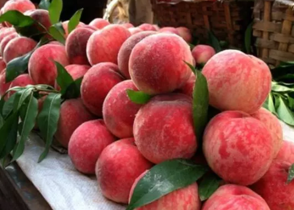 孕婦夢見買桃子吃生男生女 孕婦夢見買桃子吃什么意思