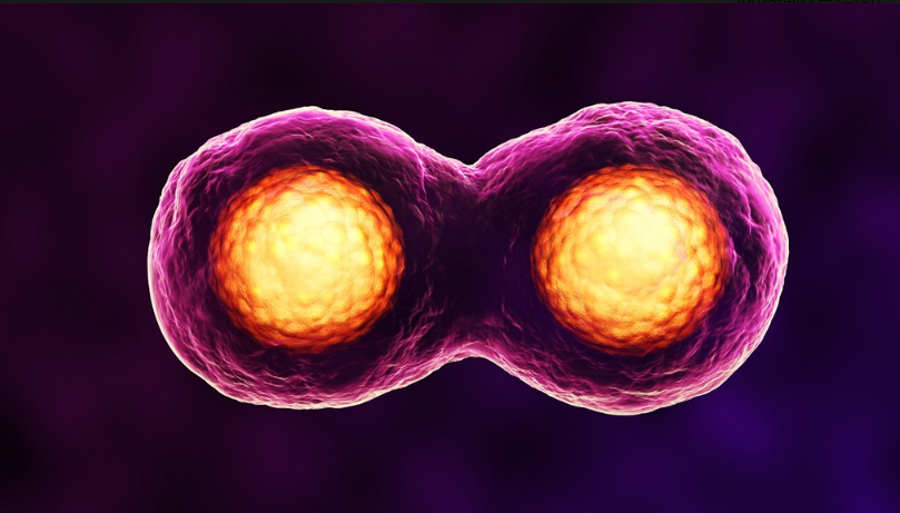 導致試管失敗的原因是什么 試管嬰兒反復移植失敗原因分析