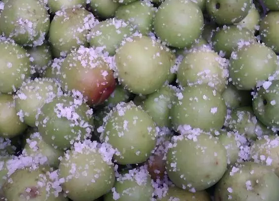 懷孕孕婦能吃青梅嗎 懷孕初期可以吃青梅嗎 懷孕孕婦能吃青梅嗎 懷孕初期可以吃青梅嗎