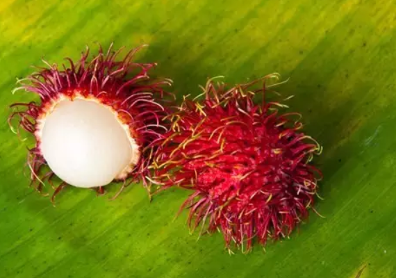 懷孕孕媽能吃紅毛丹嗎 懷孕吃紅毛丹對(duì)寶寶有影響嗎