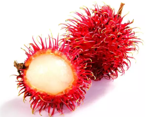 嬰幼兒期能吃紅毛丹嗎 多大的寶寶能吃紅毛丹 嬰幼兒期能吃紅毛丹嗎 多大的寶寶能吃紅毛丹