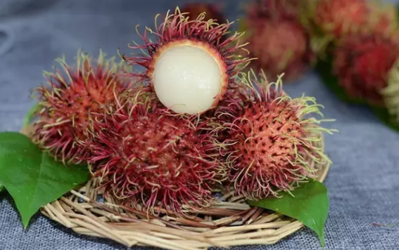 坐月子能吃紅毛丹嗎 坐月子期間吃紅毛丹好不好 坐月子能吃紅毛丹嗎 坐月子期間吃紅毛丹好不好