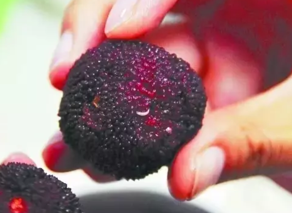 哺乳期能吃楊梅嗎 哺乳期吃楊梅影響哺乳嗎