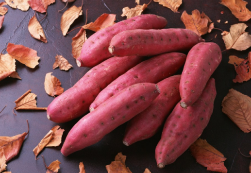 寶寶便秘可以吃紅薯嗎 吃地瓜可以通便嗎