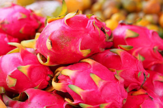 寶寶便秘可以吃火龍果嗎 吃火龍果通便嗎