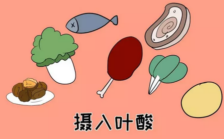 懷孕后補充葉酸還有用嗎 備孕期如何補充葉酸