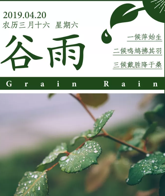 2019谷雨養(yǎng)生小常識(shí) 谷雨養(yǎng)生吃什么好