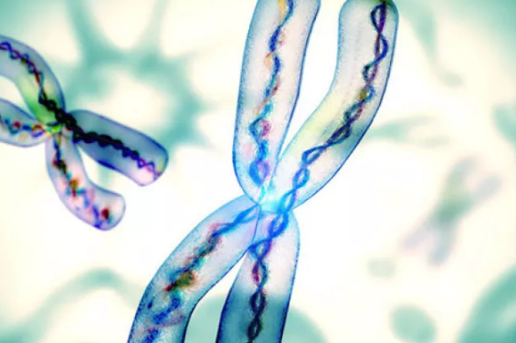 2019年4月16日懷孕生男生女 農(nóng)歷三月十二懷孕是男孩還是女孩 2019年4月16日懷孕生男生女 農(nóng)歷三月十二懷孕是男孩還是女孩