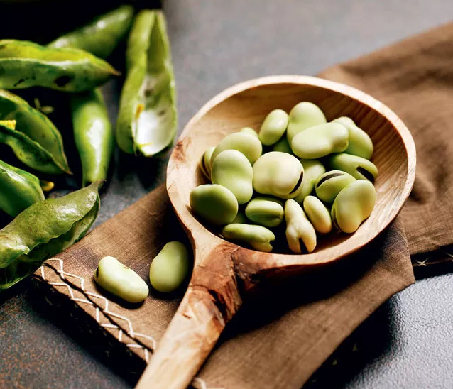 蠶豆病不治療會(huì)怎么樣 蠶豆癥有治愈的可能性嗎