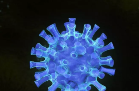 諾如病毒兒童和成人有什么區別 兒童諾如病毒的癥狀 諾如病毒兒童和成人有什么區別 兒童諾如病毒的癥狀