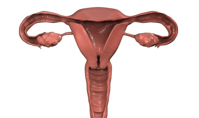 哪個年齡階段容易卵巢早衰 引起女性提前卵巢早衰的原因