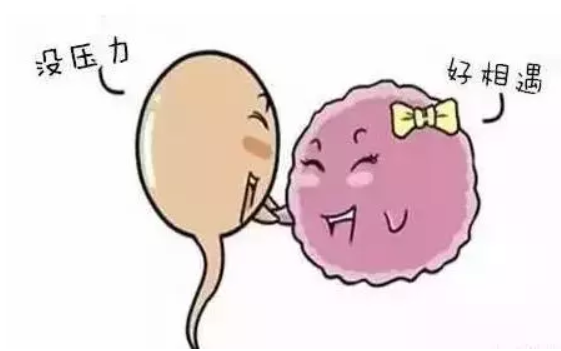 生化妊娠和流產是一回事嗎 孕早期生化妊娠了怎么辦