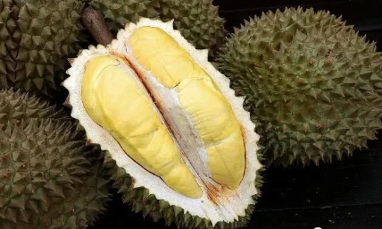 孕婦能吃榴蓮嗎 孕婦吃榴蓮有什么禁忌