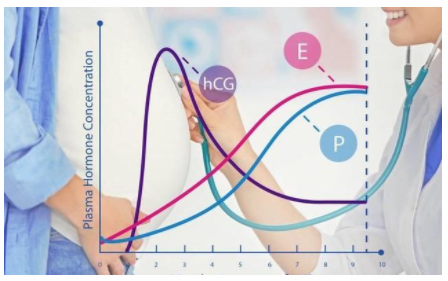 HCG翻倍怎么算 HCG翻倍不好要保胎嗎 HCG翻倍怎么算 HCG翻倍不好要保胎嗎
