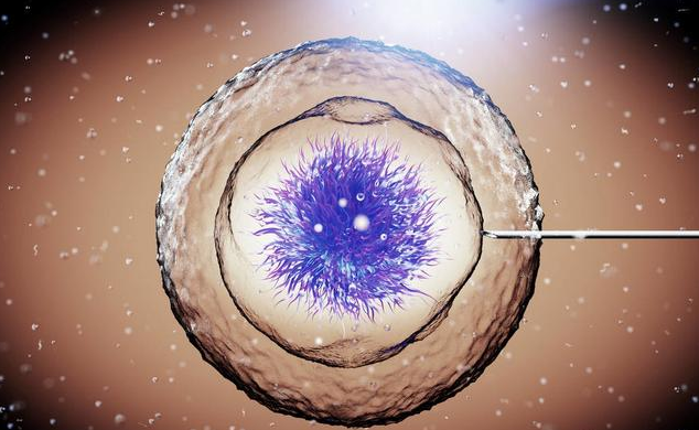 試管嬰兒可以定制雙胞胎嗎 做試管嬰兒生雙胞胎靠譜嗎