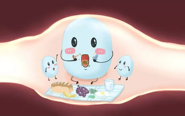 小兒腸道菌群檢測是什么 什么樣的寶寶需要做腸道菌群檢測