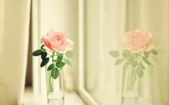 孕早期保胎針是什么藥 保胎針的功效與作用