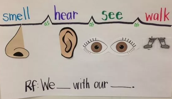 孩子思維導圖怎么畫 思維導圖畫法大全