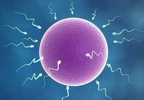 男性在什么時候會喪失生育能力 男性生育最佳年齡時間 男性在什么時候會喪失生育能力 男性生育最佳年齡時間