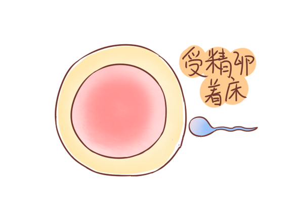 受精卵著床白帶會拉絲嗎 受精卵著床白帶有什么變化 受精卵著床白帶會拉絲嗎 受精卵著床白帶有什么變化