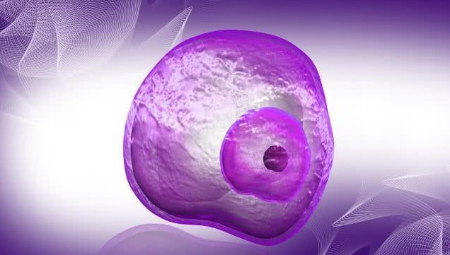 受精卵著床白帶會拉絲嗎 受精卵著床白帶有什么變化 受精卵著床白帶會拉絲嗎 受精卵著床白帶有什么變化