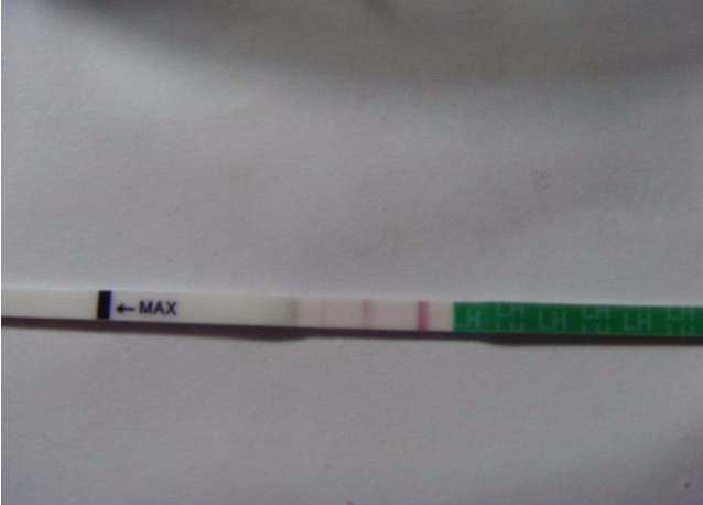 排卵試紙強陽后多久會排卵 排卵試紙強陽什么時候容易懷孕 