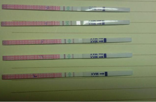 排卵試紙一直測不到強陽怎么回事 排卵試紙一直弱陽怎么辦 排卵試紙一直測不到強陽怎么回事 排卵試紙一直弱陽怎么辦