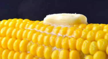 寶寶玉米食譜大全2019 玉米輔食制作方法步驟 寶寶玉米食譜大全2019 玉米輔食制作方法步驟