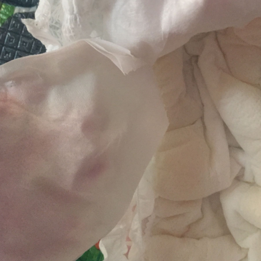 舒比奇成長褲和好奇鉑金哪個好 舒比奇大魚騎士成長褲測評 舒比奇成長褲和好奇鉑金哪個好 舒比奇大魚騎士成長褲測評