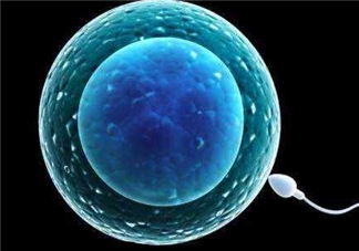 受精卵著床白帶會拉絲嗎 受精卵著床白帶有什么變化