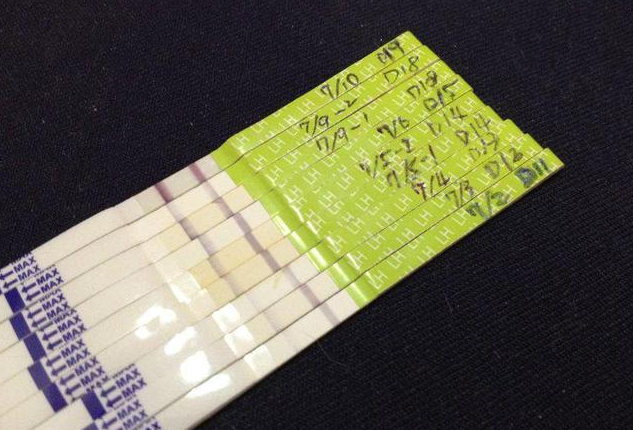 用排卵試紙可以提高受孕幾率嗎 排卵試紙兩條杠為什么沒有排卵