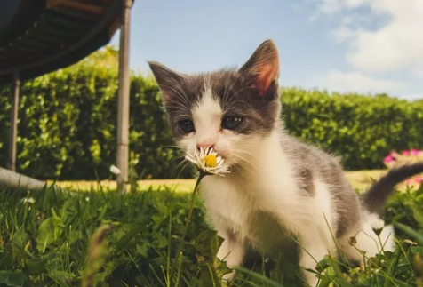 孕婦夢(mèng)見自己生小孩了好不好 懷孕夢(mèng)見生小孩很順利什么意思