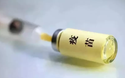 國產疫苗好還是進口疫苗好 國產疫苗好和進口疫苗區別 國產疫苗好還是進口疫苗好 國產疫苗好和進口疫苗區別
