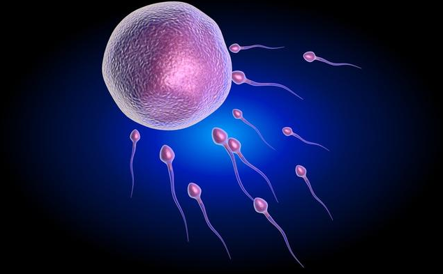 怎么在家測精子質量好不好 自測精子質量的方法 怎么在家測精子質量好不好 自測精子質量的方法