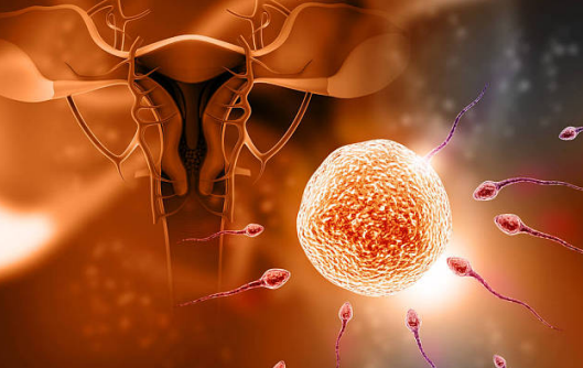 高血壓藥物對男性有什么影響 降壓藥對男性的影響 高血壓藥物對男性有什么影響 降壓藥對男性的影響