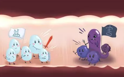 寶寶什么時候需要益生菌 益生菌能和奶粉一起沖嗎 寶寶什么時候需要益生菌 益生菌能和奶粉一起沖嗎