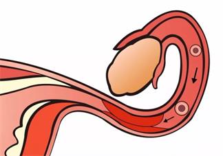 受精卵著床需要幾天 受精卵著床了會有感覺嗎